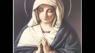 Video thumbnail of "Ave Maria em Latim - Cantado"