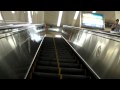 【HD】地下鉄御器所駅で桜通線から鶴舞線に乗り換えてみた