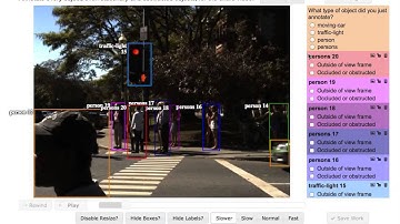 Grangerlab Street Video Annotation Demo