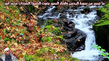 ما تيسر من سورة الرحمن وقصار السور بصوت الشيخ/ الشحات محمد أنور