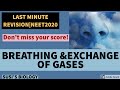 Breathing and exchange of gaseslast minute revisiononly important points in exam point of view