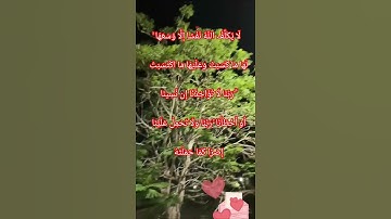 #خواتم #سورة #البقرة #فضل #خواتم #سورة #البقره   آمَنَ الرَّسُولُ بِمَا أُنزِلَ إِلَيْهِ مِن رَّبِّه
