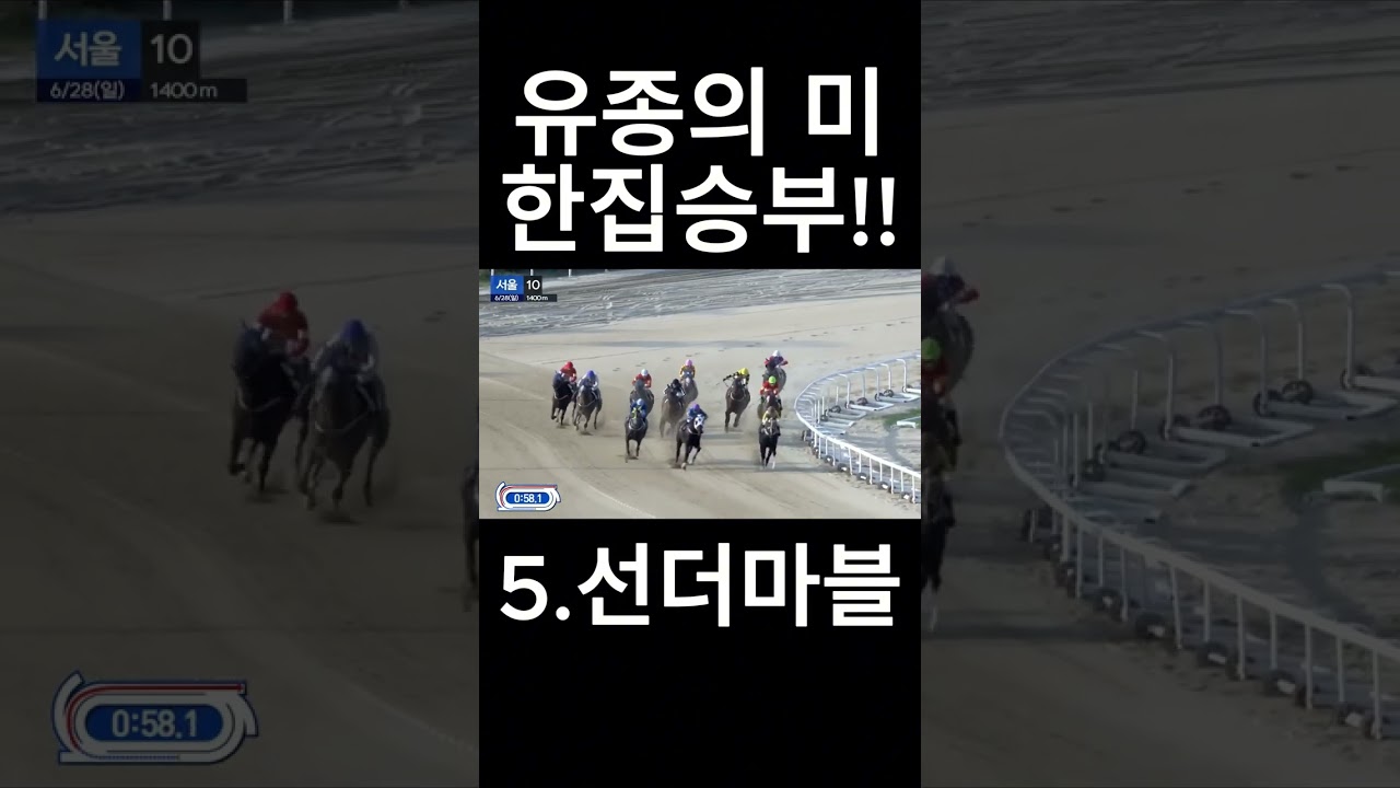 유종의미 한집승부  #경마  #경마예상  #경마방송  #경마예상방송  #서울경마  #금요경마  #토요경마  #일요경마 #경마장