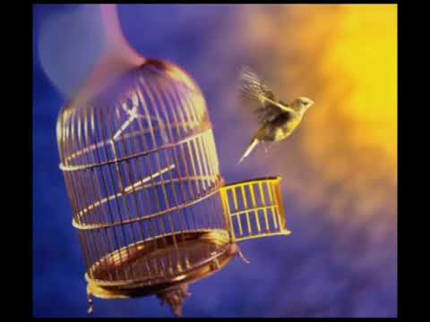 اشگـد انحبـك یا وطـن الاحـواز احواز اهواز