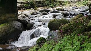 River Sounds at Sunset | Relaxing Evening Ambience