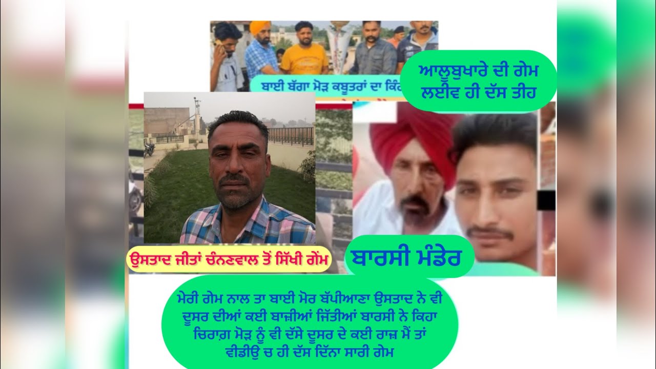 ਵਾਰਸੀ ਕਹਿੰਦਾ ਮੈਂ ਦੱਸਦਾ ਅੱਜ ਆਲੂਬੁਖ਼ਾਰਾ ਲਉਣ ਅਤੇ ਪਾਣੀ ਲਾਉਣ ਦਾ ਸਹੀ ਤਰੀਕਾ ਕਹਿੰਦਾ ਰਸੋਤ ਲਾਉਣ ਦਾ ਵੀ ਦੱਸ ਤਾਂ 