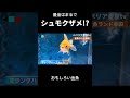 シュモクザメ!?おもしろい金魚