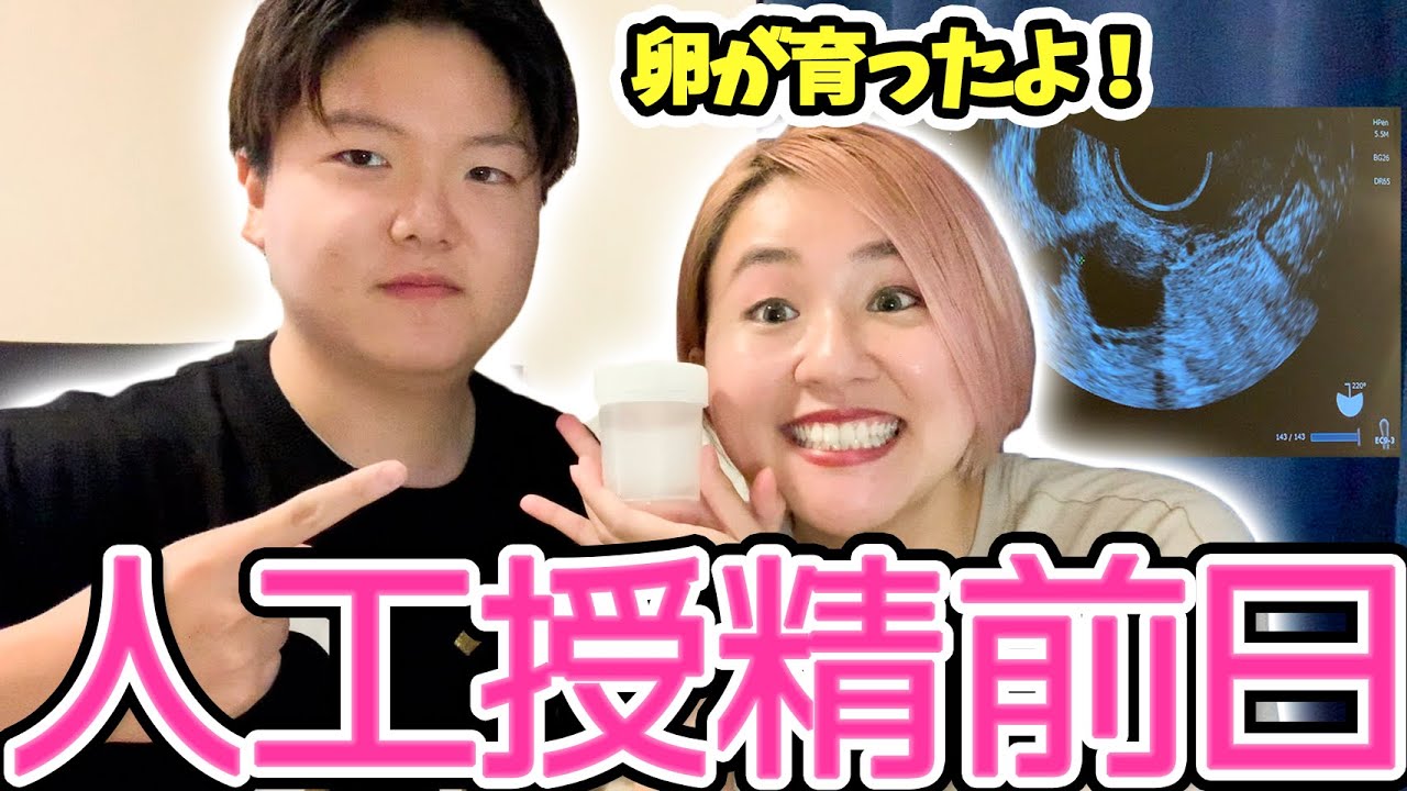 【妊活】初めての人工授精前日！排卵はきちんと起きるのか？