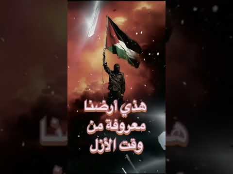 يضرب غزة جو وبحر وعل بر مش مسترجي يدخولها