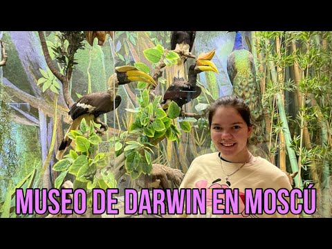 Video: Museo Darwin en Moscú. Museo Darwin, Moscú - dirección