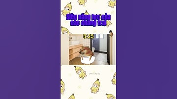 Siêu năng lực của các chàng trai | Cheems tập sự | #cheems #giaitri