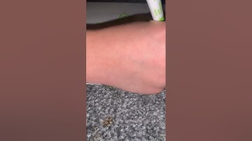 How to draw pizza Steve 