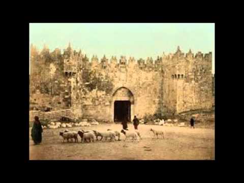الشاعر محمد بن حمد قصيده بارق الغيم