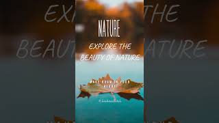 Nature 4K Vi̇deo