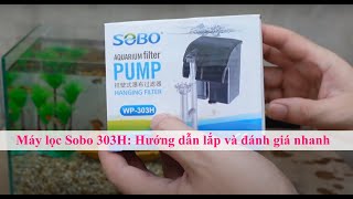 Máy lọc bể cá Sobo 303H Hướng dẫn lắp đặt và đánh giá nhanh