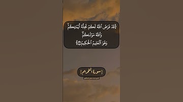 سورة التحريم الآية ١ و ٢ بصوت الشيخ محمد صديق المنشاوي