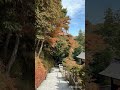 Walking Through Japan’s Most Beautiful Autumn Path 🍁 Hidden Temple Stairs in Kyoto #japan #travel