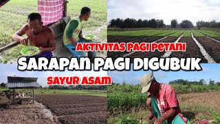 Melihat kondisi terbaru kebun Bapak Abdul Yusuf, sambil menikmati suasana pagi di kebun kangkung
