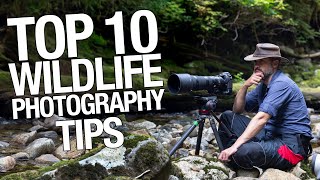 TOP 10 WILDLIFE PHOTOGRAPHY TIPS you must follow! how to become better wildlife photographer