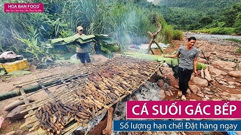 CÁ SUỐI GÁC BẾP - Ngày 11/11/2022