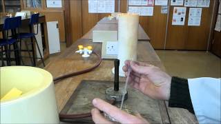 Transformation of bacteria by pGLO