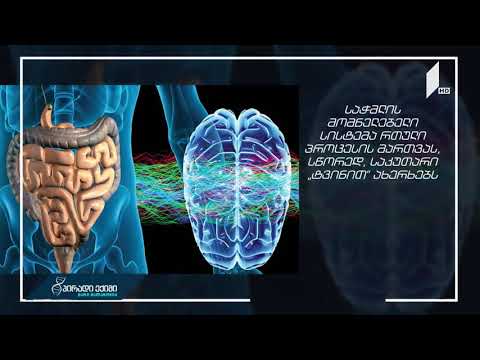 #პირადიექიმი „ნაწლავი ჩვენი მეორე ტვინია“ - ახალი კვლევა