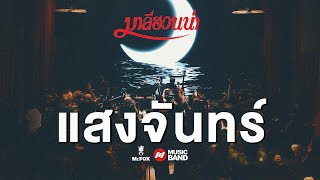 แสงจันทร์ - มาลีฮวนน่า ยรร โฟล์ค Exclusive Acoustic Concert #2 | Mr.FOX Live House