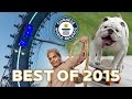 Best of Guinness World Records 2015