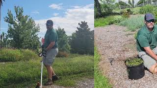 Edging Groundcovers - OUTSIDE Collab