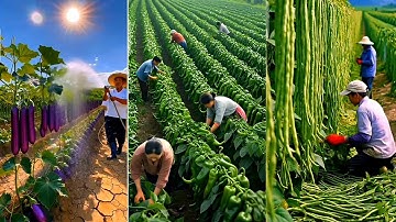 Green Farming | Sustainable & Organic Agriculture Techniques | Farming Guide 2025