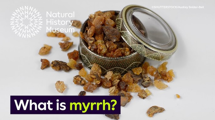 6 Benefits Of Myrrh Essential Oil (And How To Use It) - AWO