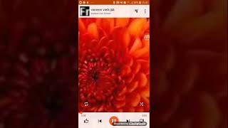 Kaaleet Vallentunan Roni Viereeni Vielä Jää