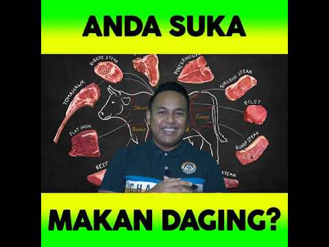 Video: Untuk daging lembu dan daging lembu?