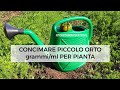 Concimi Orto: Come calcolare dose per Pianta