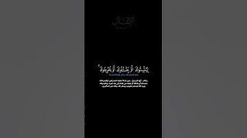 سورة الأنفال الآية 30 عمر الدريوز #guidance #quran #اللحيدان #الدوسري #لايك #قرآن #اكسبلور