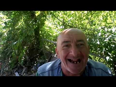 REMBO !!! ცნობილი ექსპერტი ( KORONASTAN PIRISPIR)-tbiliseli rembos tavgadasavlebi(me-11 epizodi)