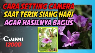 How to Set Daylight Photos on the Canon EOS 1200D | #cameratutorial #canon1200d