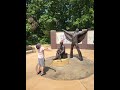Memphis - Graceland - Elvis Trip #elvispresley #graceland #memphis