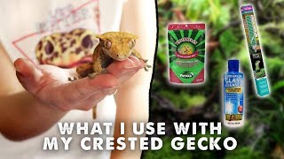Everything I Use With My Crested Gecko | Tank, Lighting, Substrate, Etc
