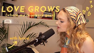 Video thumbnail of "Love Grows (Where My Rosemary Goes) by Edison Lighthouse (cover)"