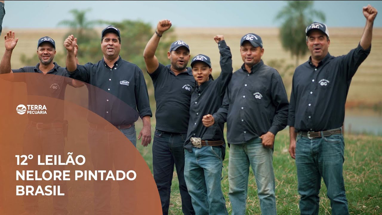 TERRA PECUÁRIA - 12º LEILÃO NELORE PINTADO BRASIL