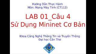 Mạng Máy Tính: Sử Dụng Mininet Cơ Bản
