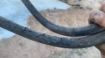 Gilbert AZ GM Bus 4106 Day 3