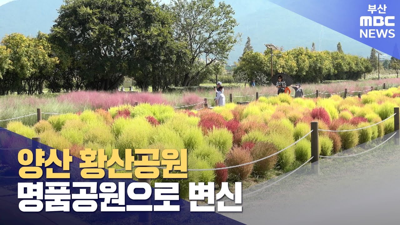 양산시, 황산공원 대규모 개발 착수 (2023-09-17,일/뉴스데스크/부산MBC)