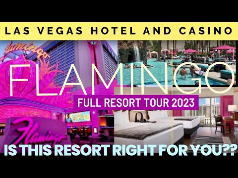 Video: Bilder des Pools im Flamingo Las Vegas Hotel