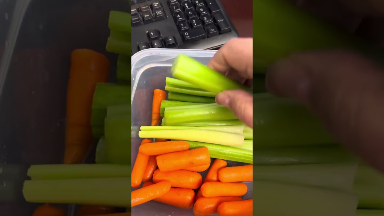 Snapware Total Solution 20 Pc Plastic Food Storage Containers Set with