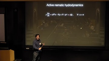 Universality – Turbulence Across Vast Scales: Day 3, Session 2 (December 4, 2019)