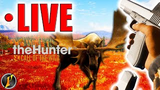 Let's See What Yukon Valley Has in Store for Us! | LIVE!