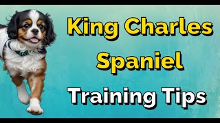 Cavalier King Charles | A Step-by-Step Guide to Training Your Spaniel