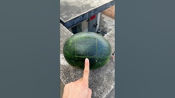Experiment: Will a watermelon explode if it rolls down from a tall building? 🍉💥 #watermelon